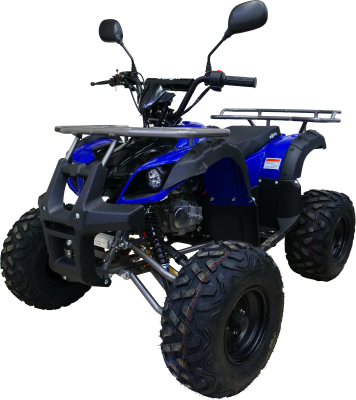 Квадроцикл бензиновый MOTAX ATV Grizlik-8 1+1 125 сс с электростартером - магазин FunnyFox